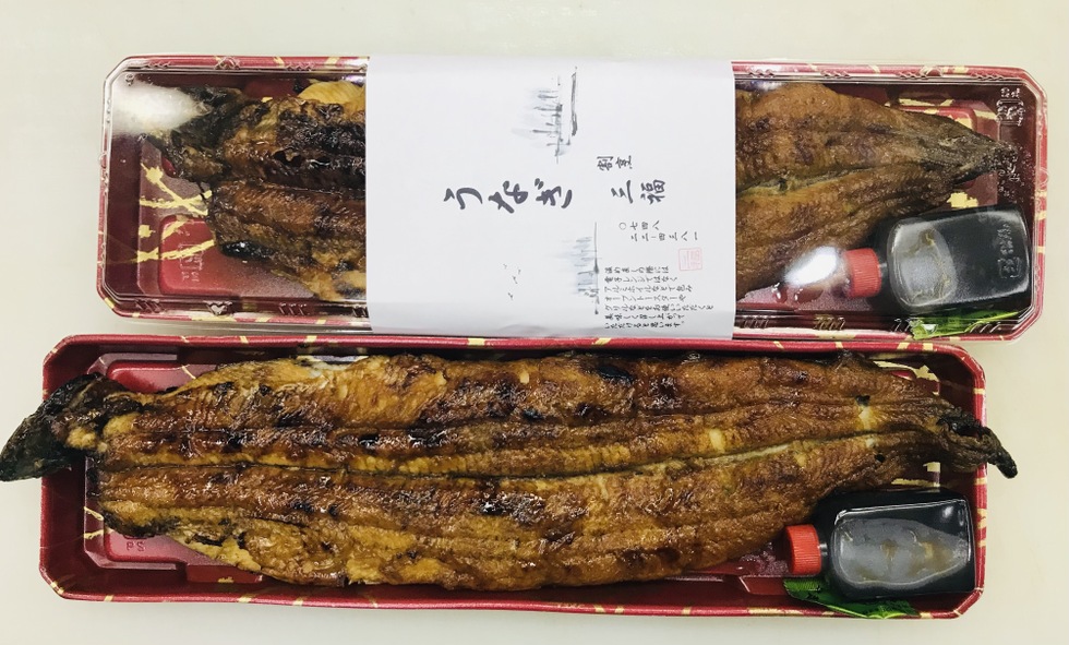 姿一匹